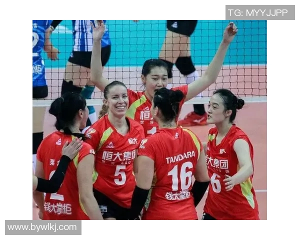 上海排球队以82分领跑奥运会积分榜展现强大实力与团队合作精神